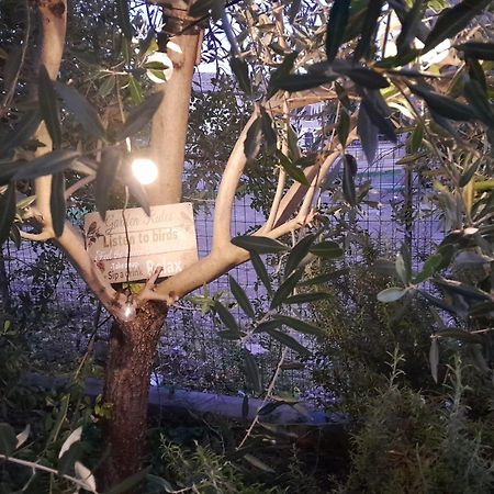 코파로 Casita Esperanza 아파트 외부 사진