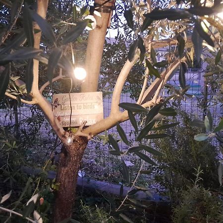 코파로 Casita Esperanza 아파트 외부 사진