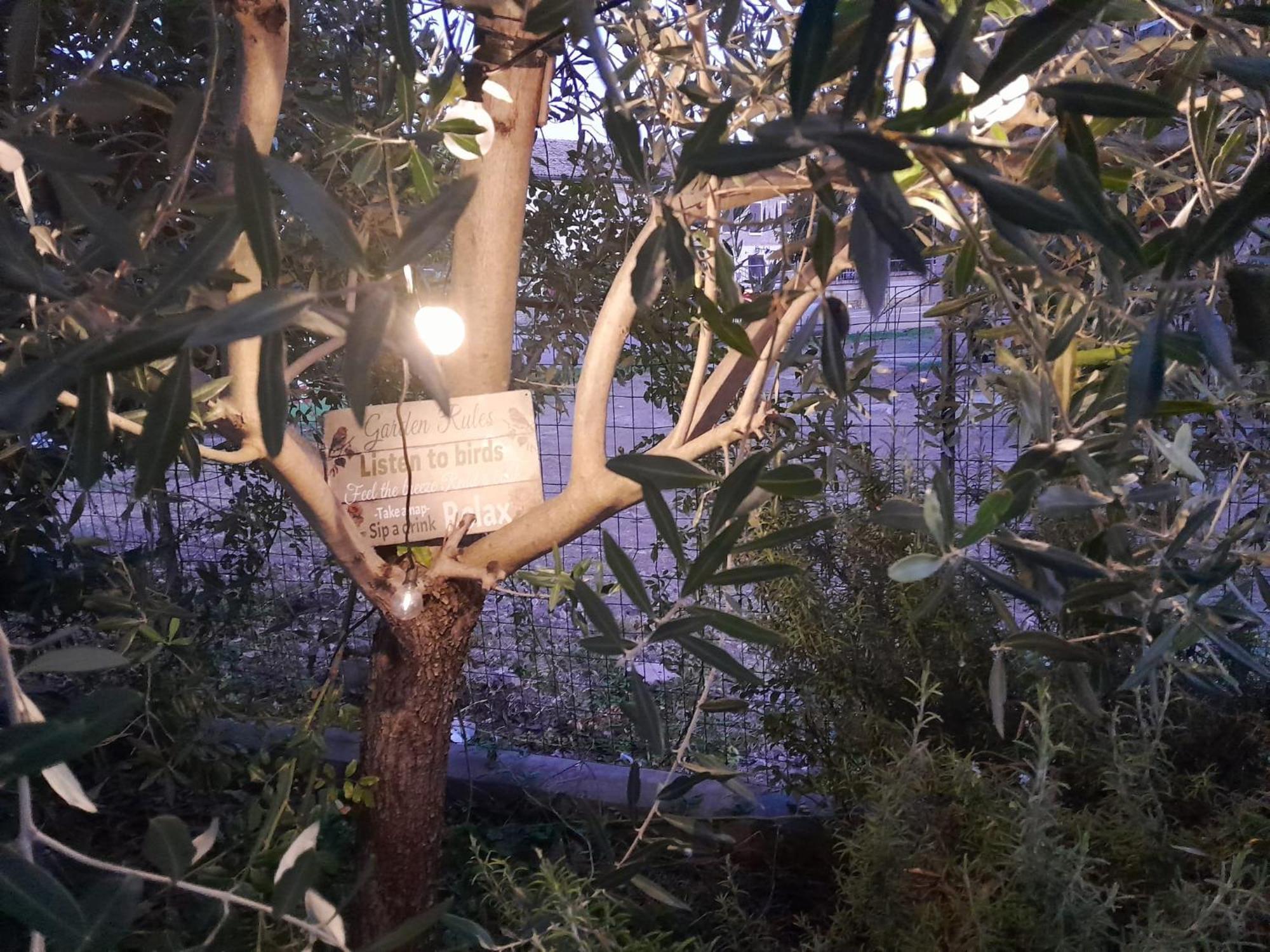 코파로 Casita Esperanza 아파트 외부 사진