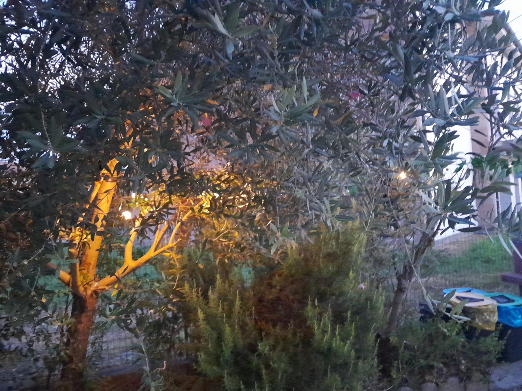 코파로 Casita Esperanza 아파트 외부 사진
